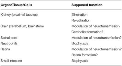 Mouse d-Amino-Acid Oxidase: Distribution and Physiological Substrates